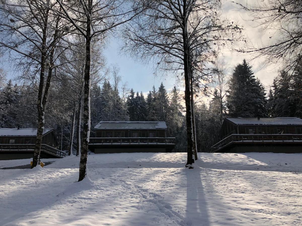 Chalet De Charme, Le "Caribou Lodge", Eifel Belge Büllingen Exterior foto